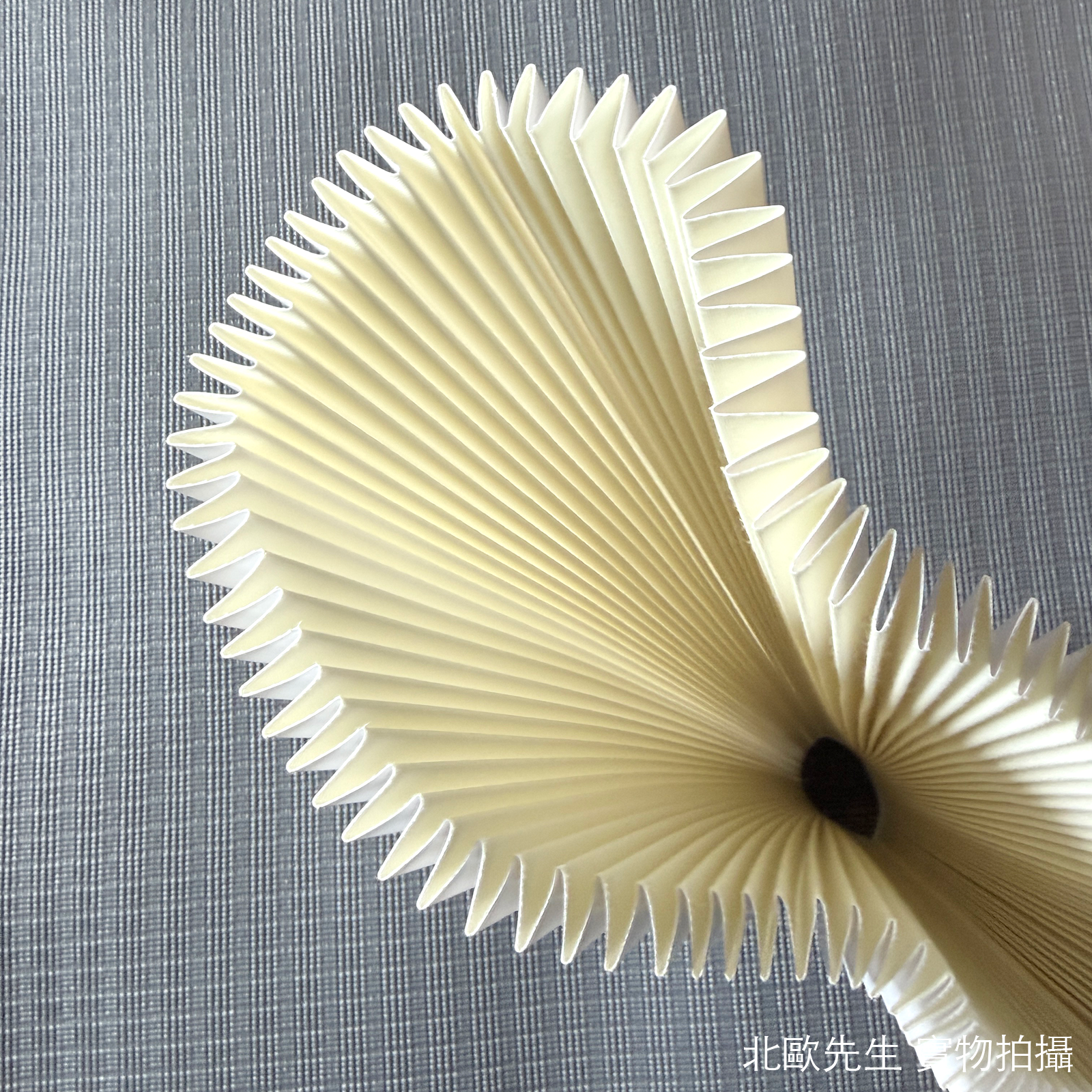 Gejst Liris Pendant 光扇系列 典雅吊燈 87 cm