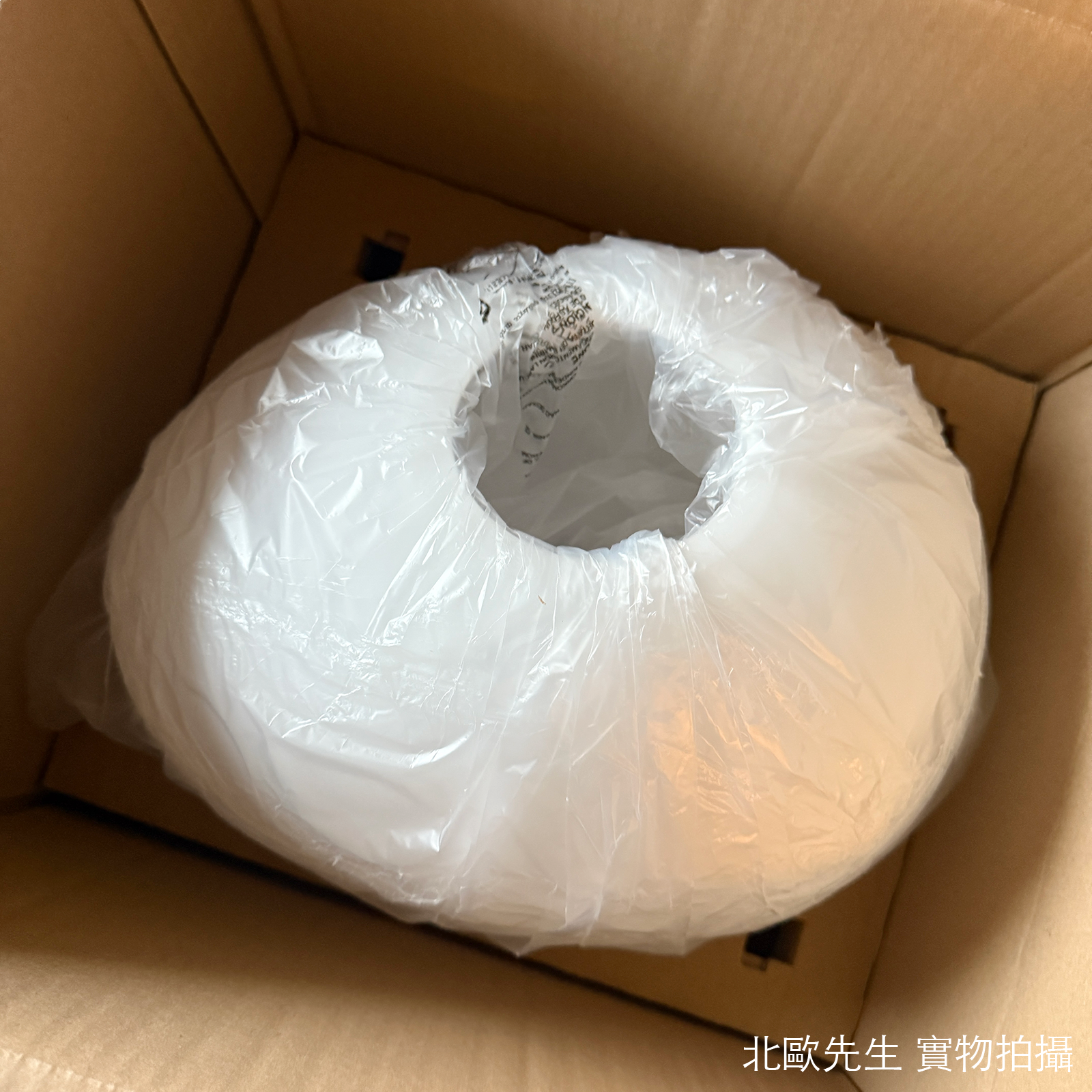 Foscarini Gregg Suspension Lamp in Medium 重生系列 霧白玻璃吊燈 - 中尺寸 31 cm